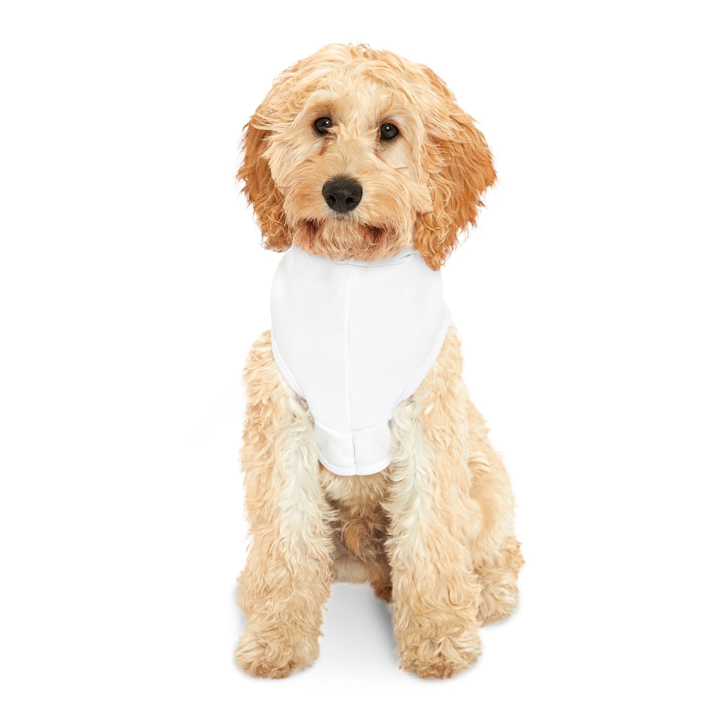 Cozy Pet Hoodie for Stylish Dogs, Dog Apparel, Pet Winter Wear, Cute Pet Gift, Fashionable Pet Clothing