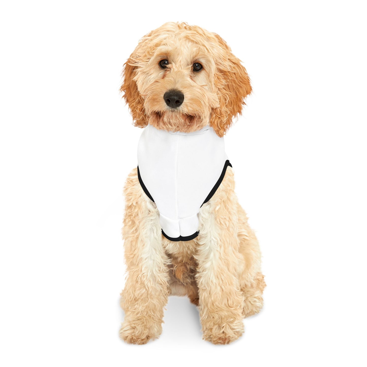 Cozy Pet Hoodie for Stylish Dogs, Dog Apparel, Pet Winter Wear, Cute Pet Gift, Fashionable Pet Clothing